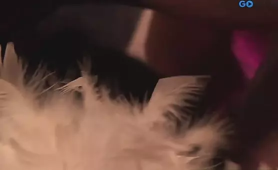 Blonde Gets Fucked From Behind in Passionate Oral Delights